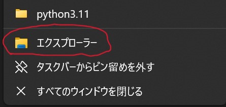 pythonins
